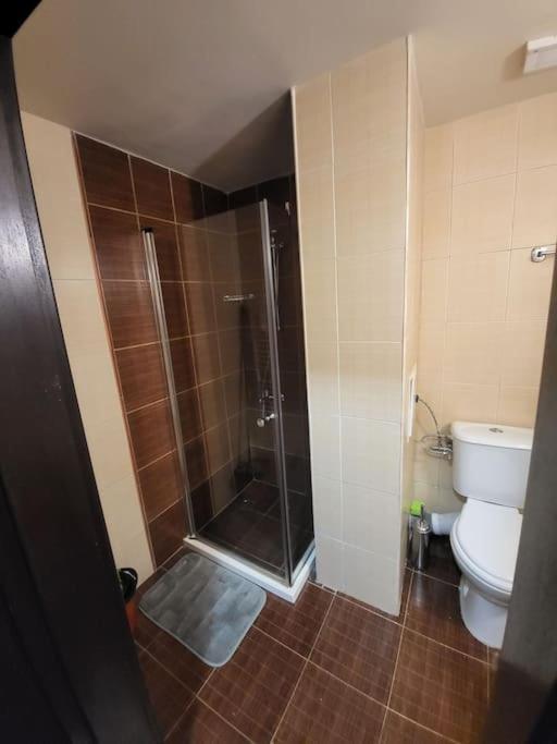 Apartamento Bansko Royal Towers 253 Exterior foto